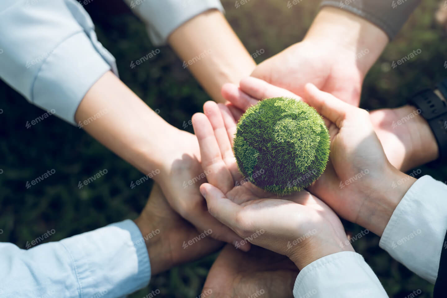 Sustainable Management